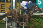 Emerald Hill makes it four on the trot on Friday night.<br>Photo by Singapore Turf Club